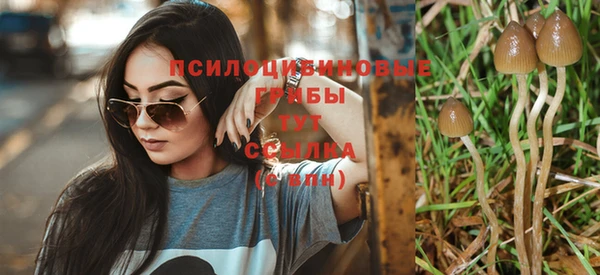 COCAINE Алзамай