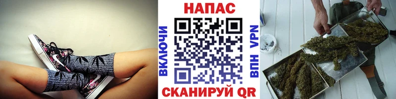 Шишки марихуана семена  Темрюк 